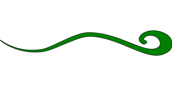 green_line.png